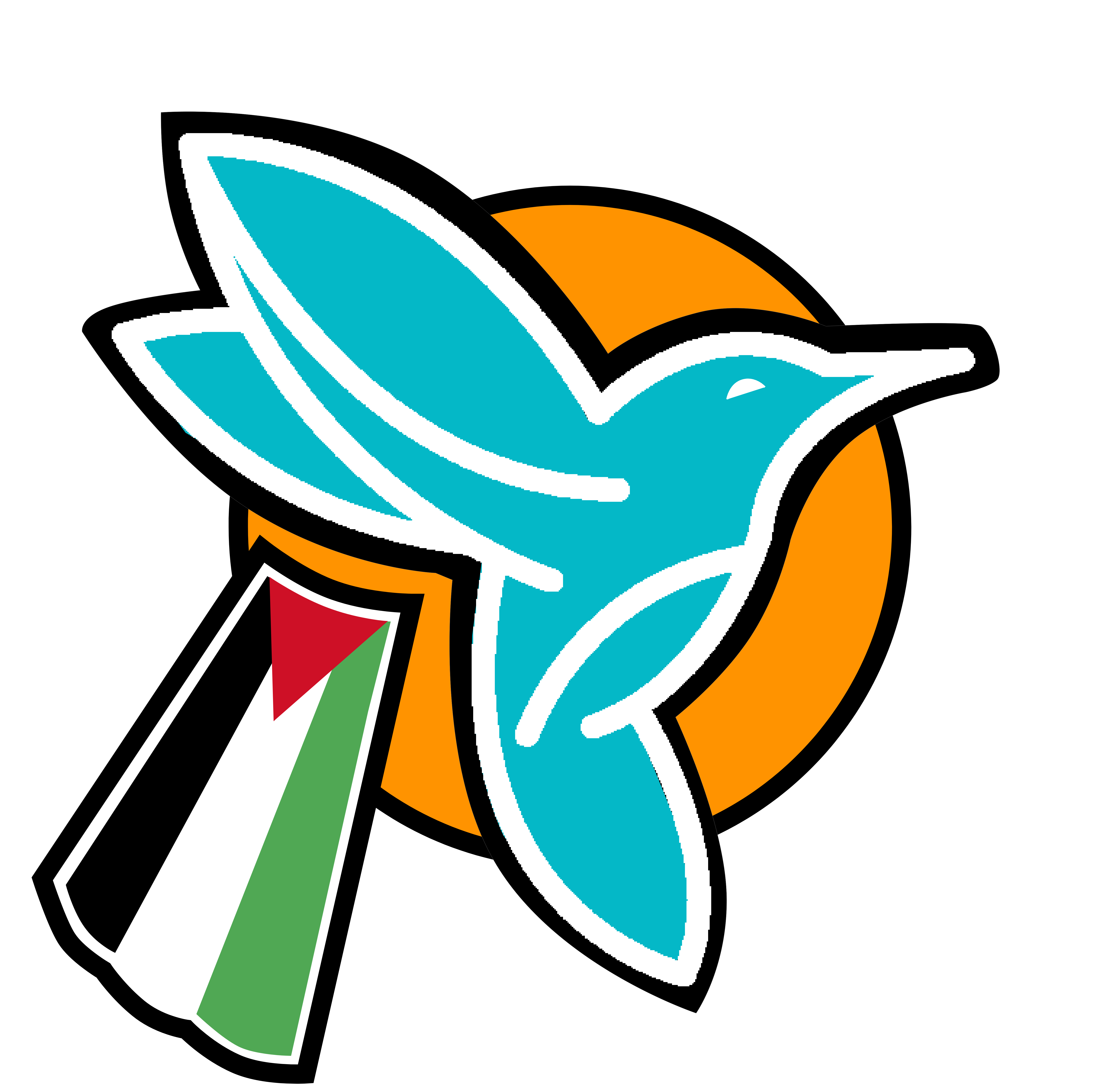 Non Governmental Organizations -pngo
